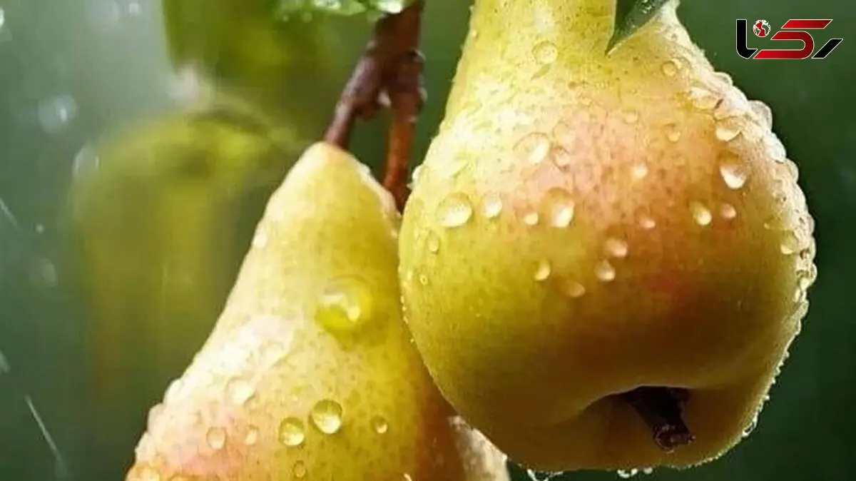 فال امروز 14 مرداد 