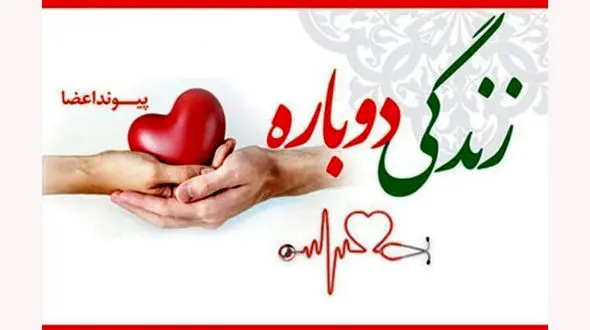 اعضای اهدایی بدن جوان قزوینی جان ۳ نفر را نجات داد