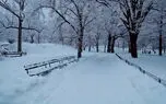 آهنگ این زمستونم تموم شد با صدای علیرضا طلیسچی و تصاویر پیاده روی در پارک برفی نیویورک + فیلم 