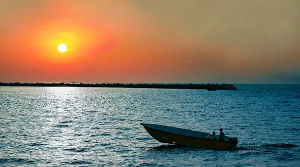 ببینید / از زیبایی های بوشهر + فیلم 