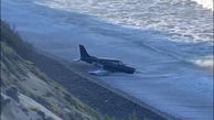 ببینید / اولین تصاویر از فرود اضطراری یک هواپیما در ساحل + فیلم شگفت انگیز