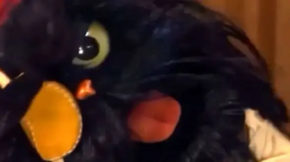 رامبد جوان از جایگزین جناب خان رونمایی کرد