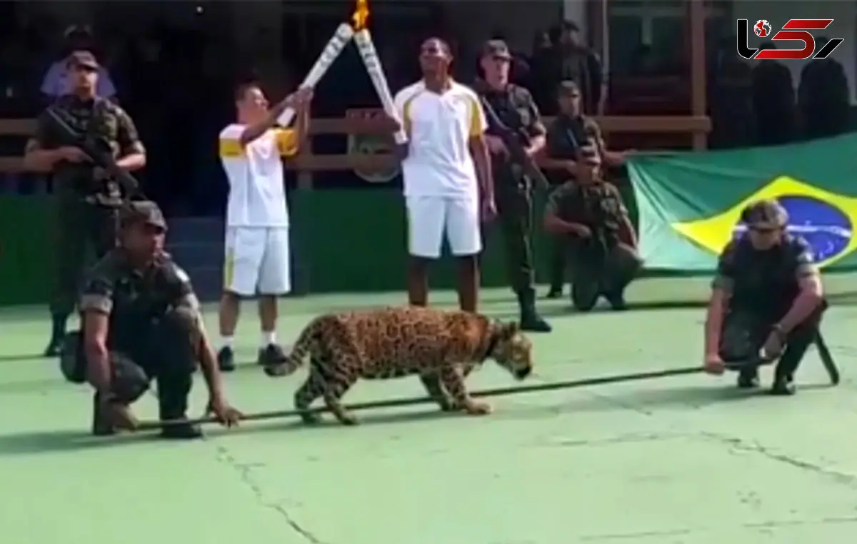 شلیک به جگوار المپیک+ فیلم و عکس