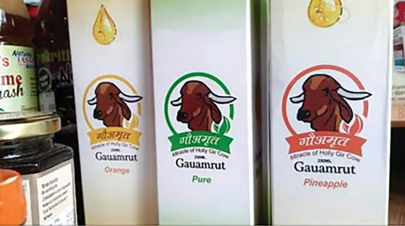 ادرار گاو با طعم های مختلف به بازار آمد !