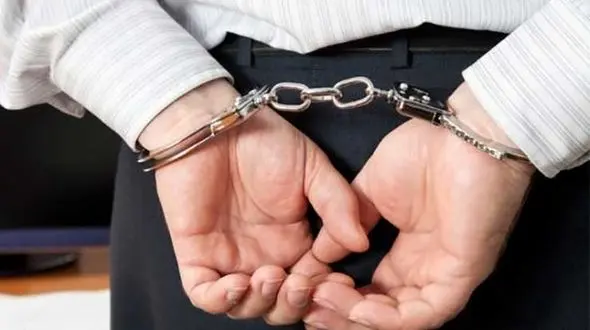 درختان را با اسید می سوزاندند