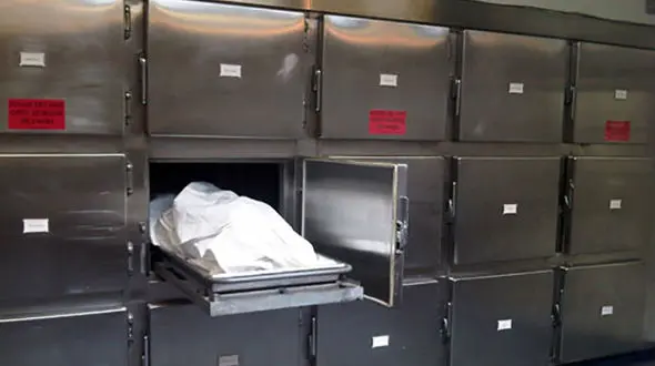 کار ناشایست یک پزشک با جنازه زنان و دختران در سردخانه 