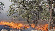 آتش سوزی 10 هکتار از  اراضی جنگلی آستارا