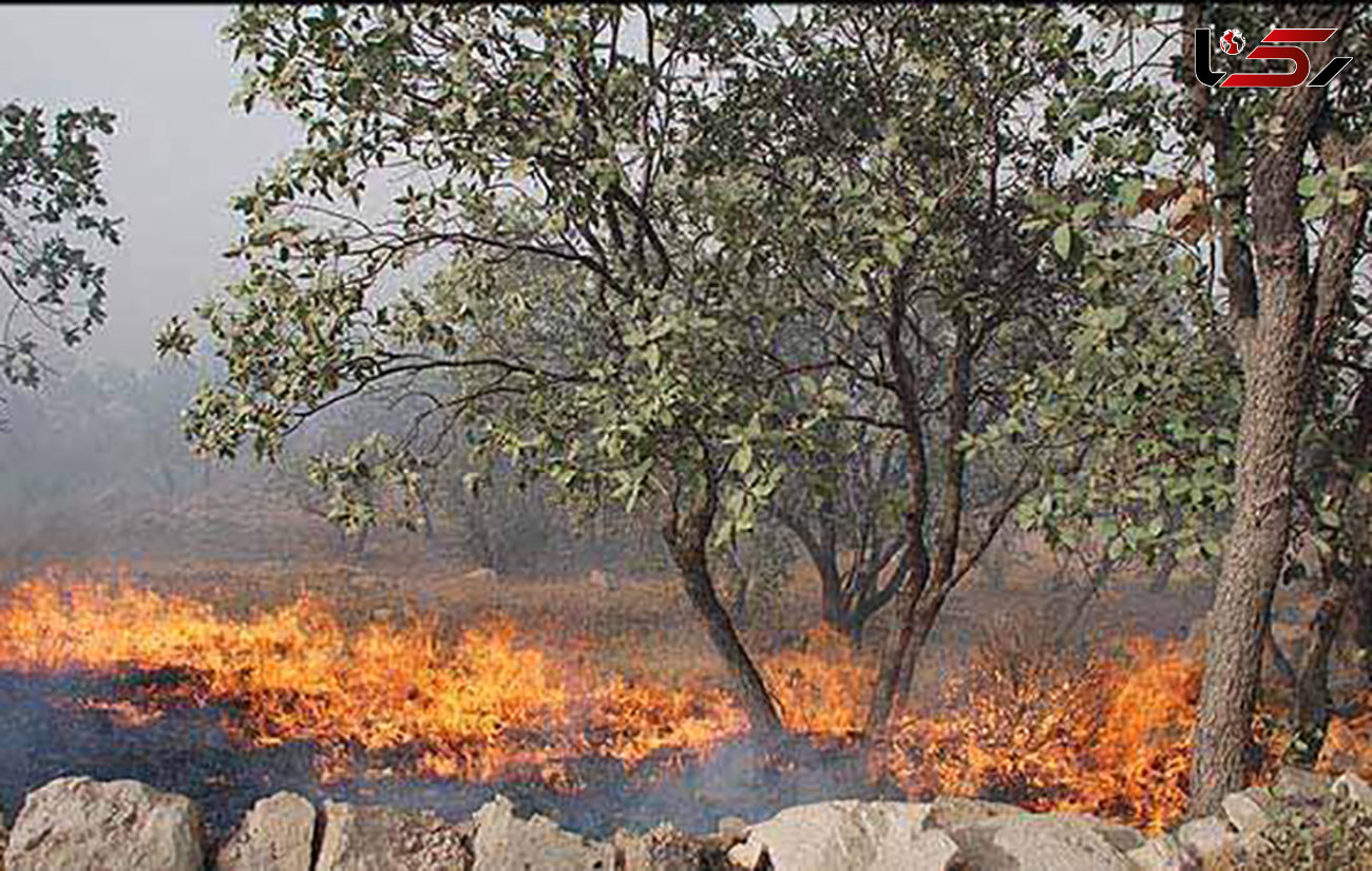 آتش به جان 100 هکتار از مراتع دهلران افتاد