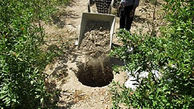 پلمب 12 حلقه چاه غیر مجاز در یزد 