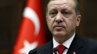 اظهارات اردوغان درباره ادامه عملیات شاخه زیتون 