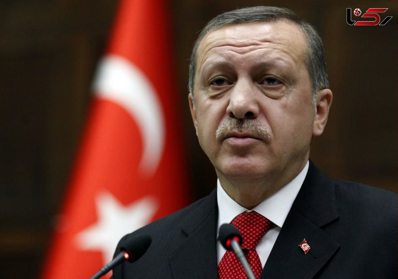 اظهارات اردوغان درباره ادامه عملیات شاخه زیتون 