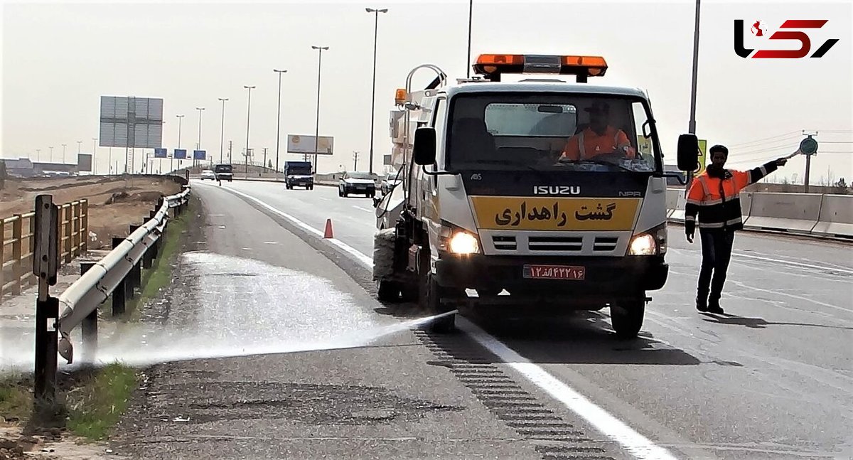 جمع آوری لاشه 2 هزار حیوان در خراسان رضوی