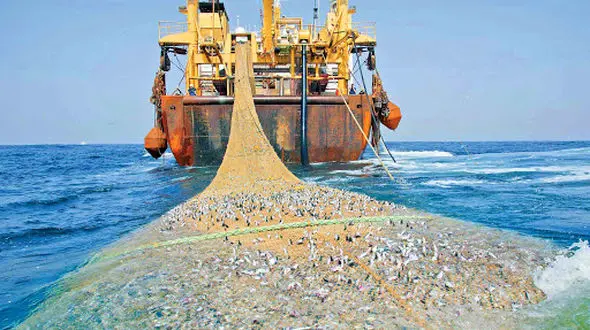 در حال حاضر صید ترال اتفاق نمی‌افتد