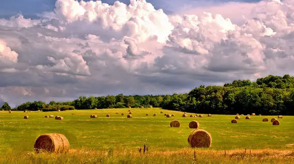 کاهش 10 درجه ای دما در این استان ها/ هشدار سیلاب و آب گرفتگی