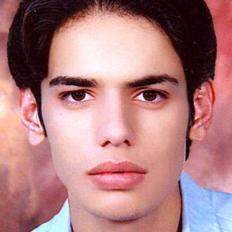 امید سیفی - کارگردان انیمیشن من یک درخت هستم