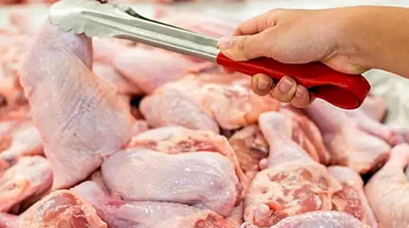 فروش مرغ تکه ای ممنوع شد 