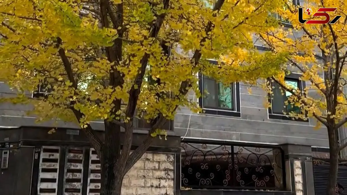 فیلم شهسوار زیبا / نگاره‌ ای از شجاعت و زیبایی