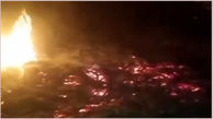 آتش سوزی آخرالزمانی در نخلستان سیستان و بلوچستان + فیلم 