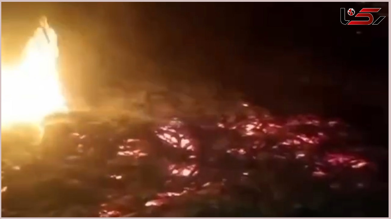 آتش سوزی آخرالزمانی در نخلستان سیستان و بلوچستان + فیلم 