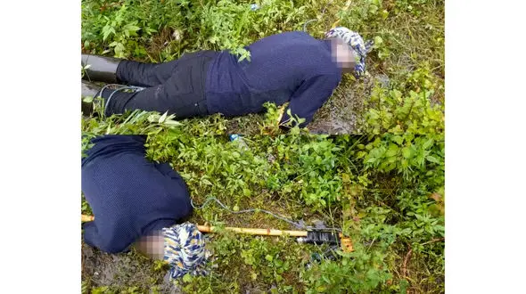 برق سارق حرفه ای بالای تیرچراغ برق خشک کرد + عکس دلخراش