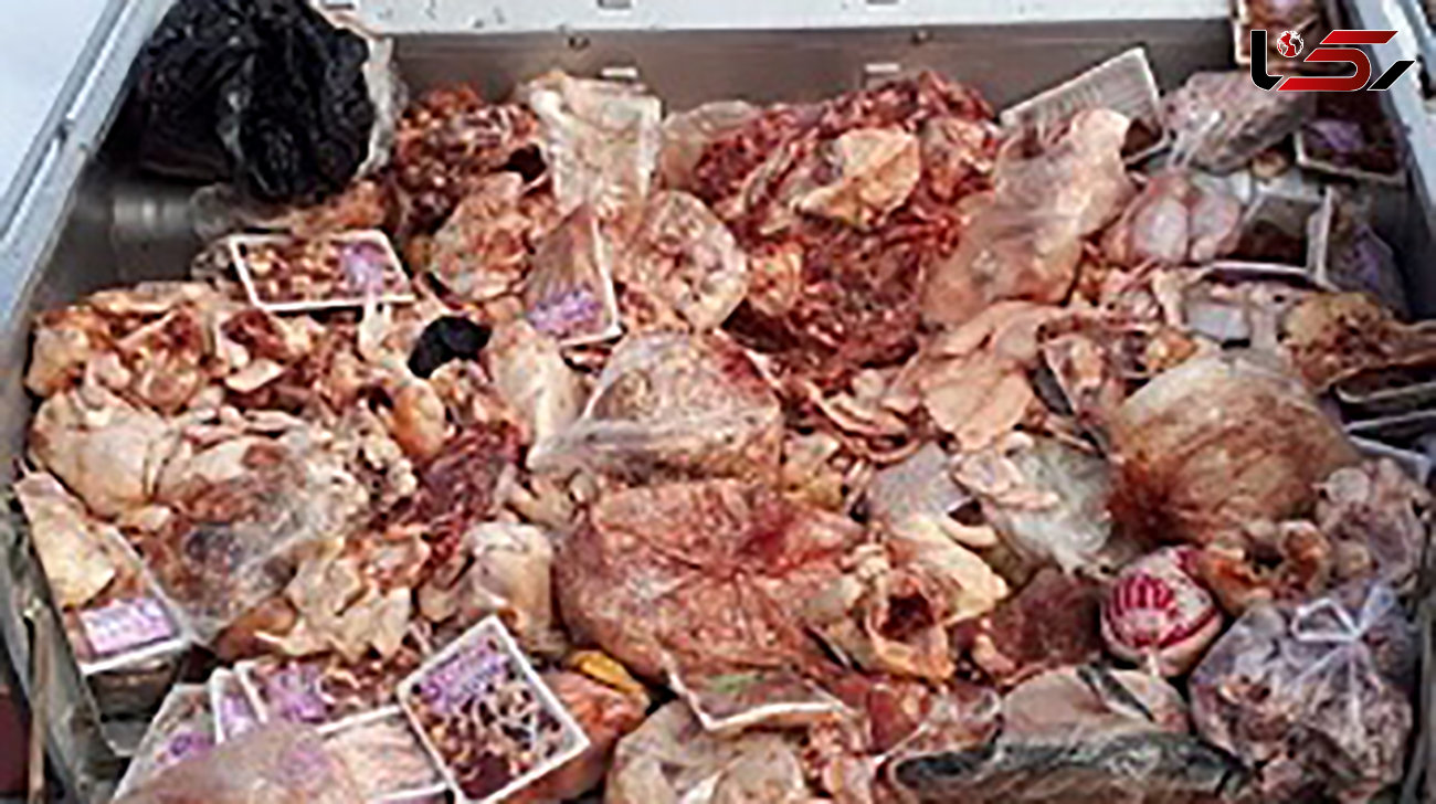 دستگیری توزیع کننده گوشت‌های فاسد در فسا