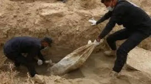 کشف 200 جسد در یک زمین کشاورزی / سوریه