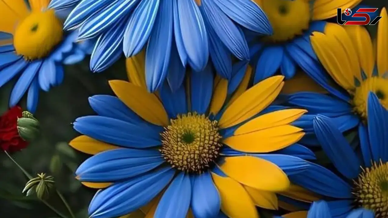 فال امروز شما در 27 بهمن 