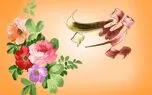 نماهنگ "بنت علی" با صدای محمود کریمی به مناسبت ولادت حضرت زینب کبری (س) + فیلم