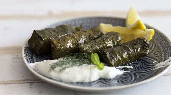 فوت و فن نگهداری برگ مو به مدت طولانی در خانه