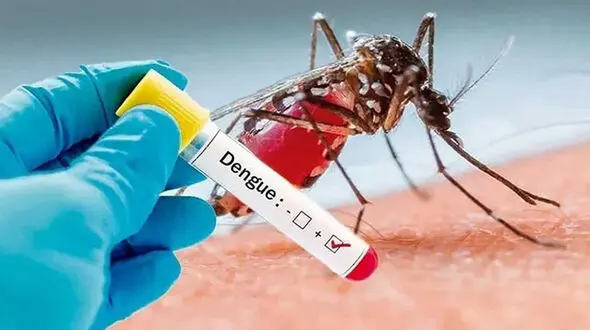 مشاهده یک مورد مثبت تب دنگی در تربت‌حیدریه + علائم تب دنگی