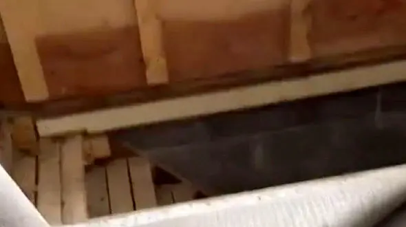 راز یک شکنجه گاه زیر موکت خانه یک زن ! + فیلم