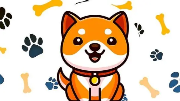 حقایق عجیب درباره تعداد توکن‌های بیبی دوج کوین از زبان پی ام ایکس چنج