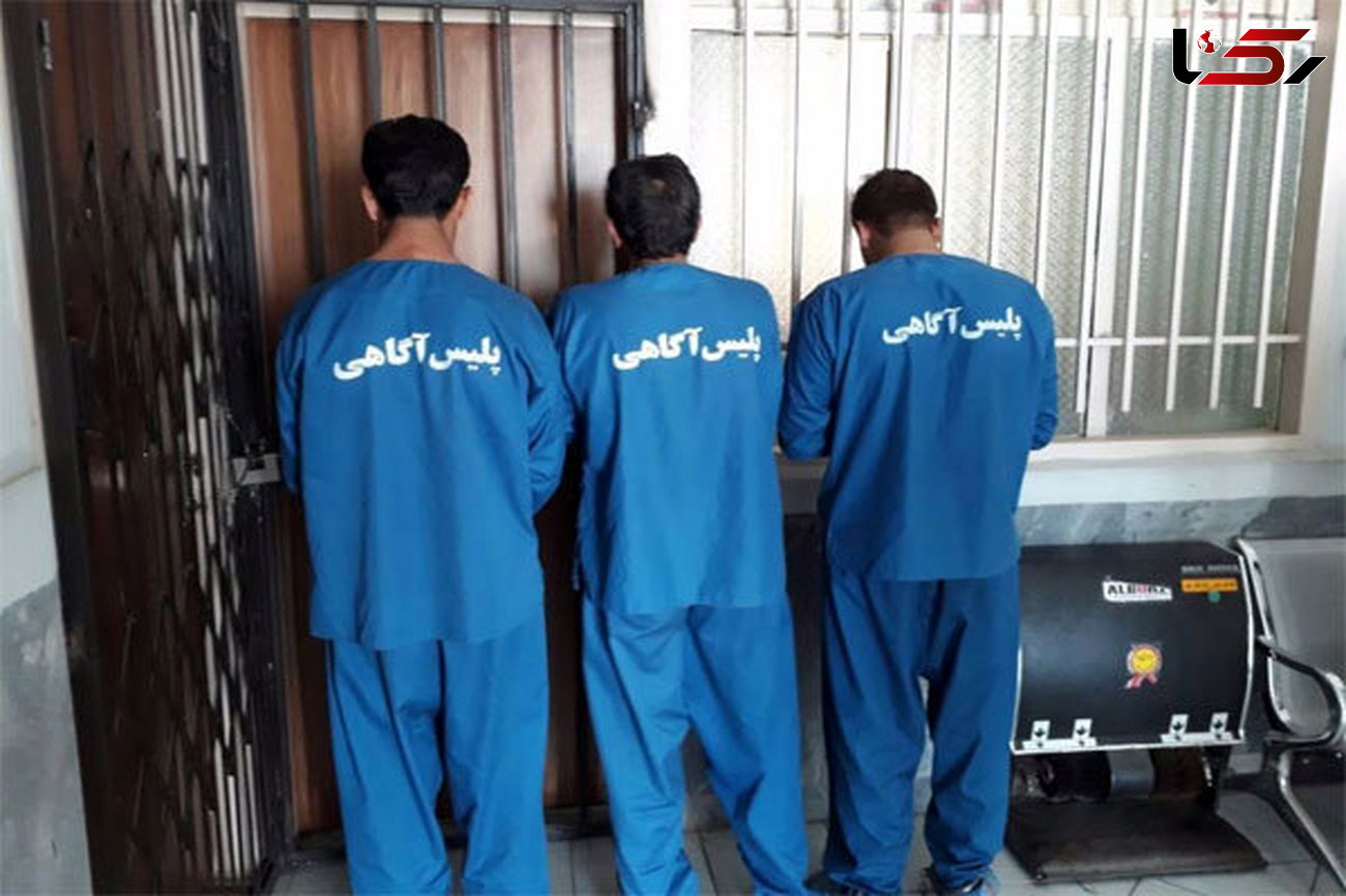دستگیری سارقان حرفه‌ای در البرز 