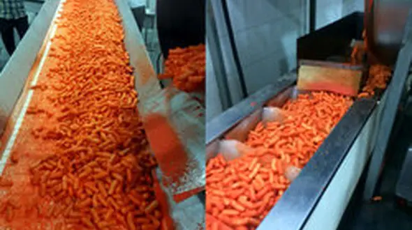 
ماجرای تولید پفک با خوراک دام واقعیت دارد؟
