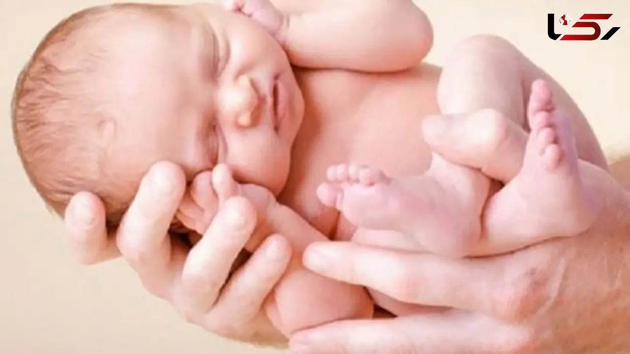 حماقت یک زن جوان به خاطر نزدیک شده به زن و شوهر مشهدی / بهنوش پیشنهاد مرا پذیرفت!