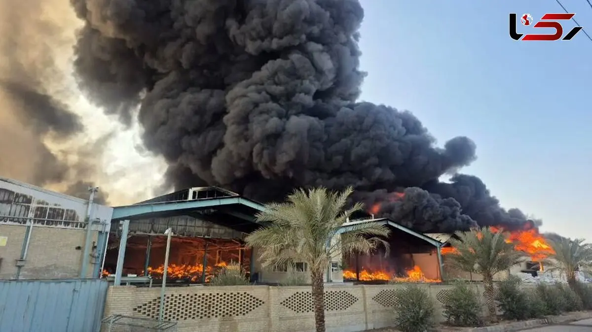 فیلم/ کنترل آتش سوزی عظیم چند کارخانه در شهرک صنعتی ۲ یزد 