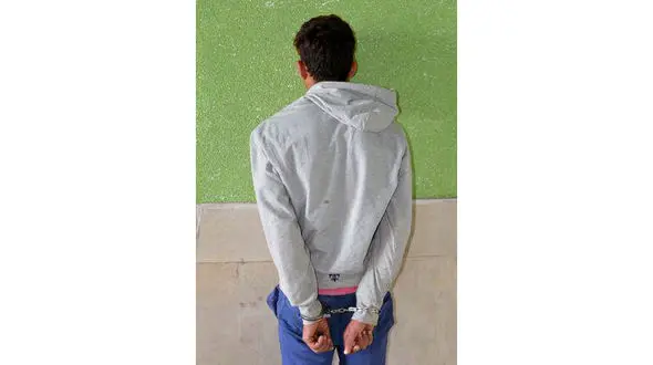 پایان جولان کیف قاپ تکرو در بهارستان+عکس