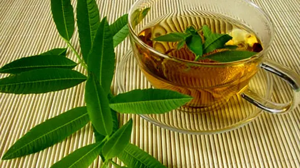 خواص مهم به لیمو را بشناسید