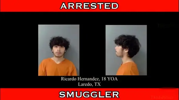 ببینید /  یک نوجوان درتعقیب و گریز با سرعت بالا با پلیس تصادف می کند