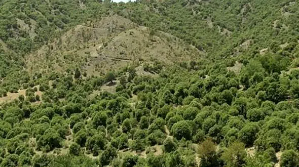 حکم پرونده تخلفاتی منابع طبیعی اردبیل هنوز صادر نشده است