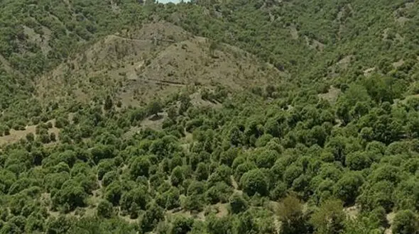 حکم پرونده تخلفاتی منابع طبیعی اردبیل هنوز صادر نشده است