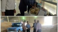 خرید تضمینی ۲۷ هزار تن گندم از کشاورزان شهرستان آبیک