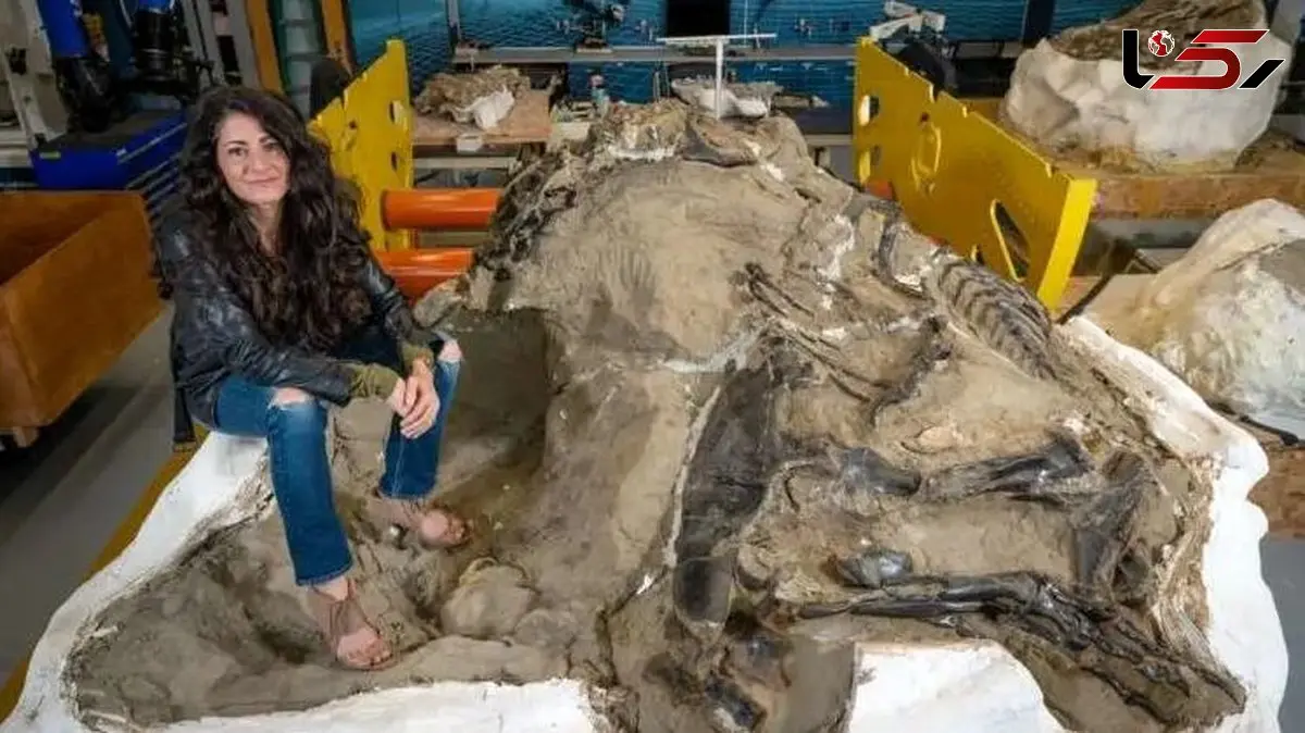 شگفتی در جهان دایناسورها: کشف تی‌ رکس نوجوان یک گونه نوظهور!