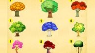 تست: شما کدام درخت را انتخاب می کنید ؟