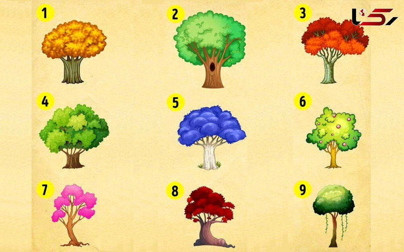 تست: شما کدام درخت را انتخاب می کنید ؟