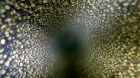 سفری هیجانی به اعماق زمین +فیلم