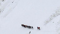  ۷ کوهنورد محلی در منطقه سقوط هواپیما در ارتفاعات دنا ناپدید شدند 