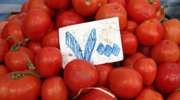 افزایش قیمت گوجه‌فرنگی در بازارها