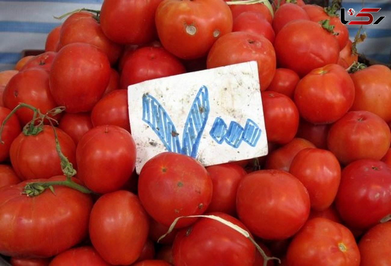 افزایش قیمت گوجه‌فرنگی در بازارها