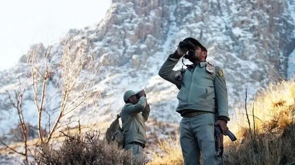 مجروح شدن محیط بان دشت ارژن در درگیری با شکارچیان 